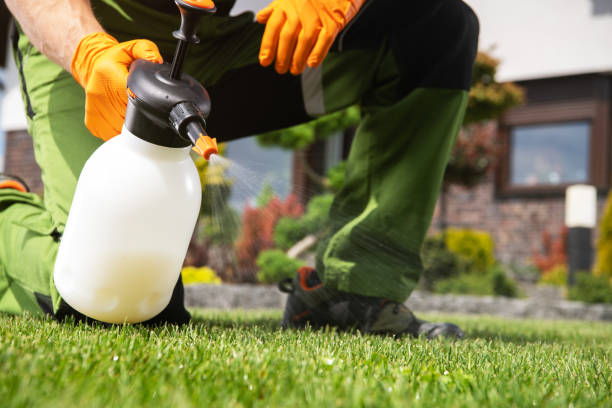 Best Local Pest Control Services  in East Troy, WI